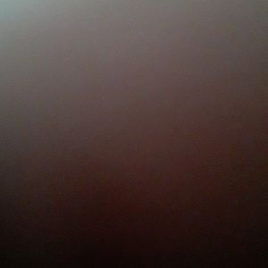 Meet your Posher, Lacy